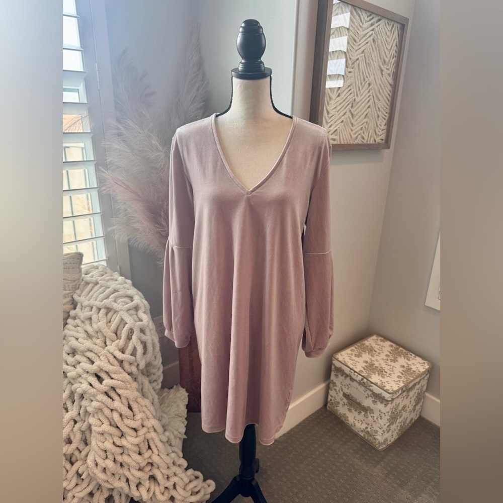 Women’s Blush Pink Madewell dress